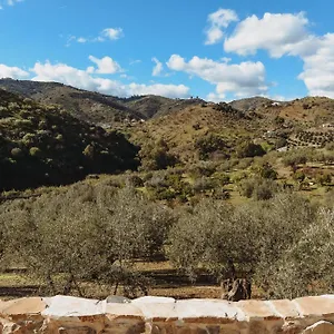 Bed and breakfast Elements, Comares
